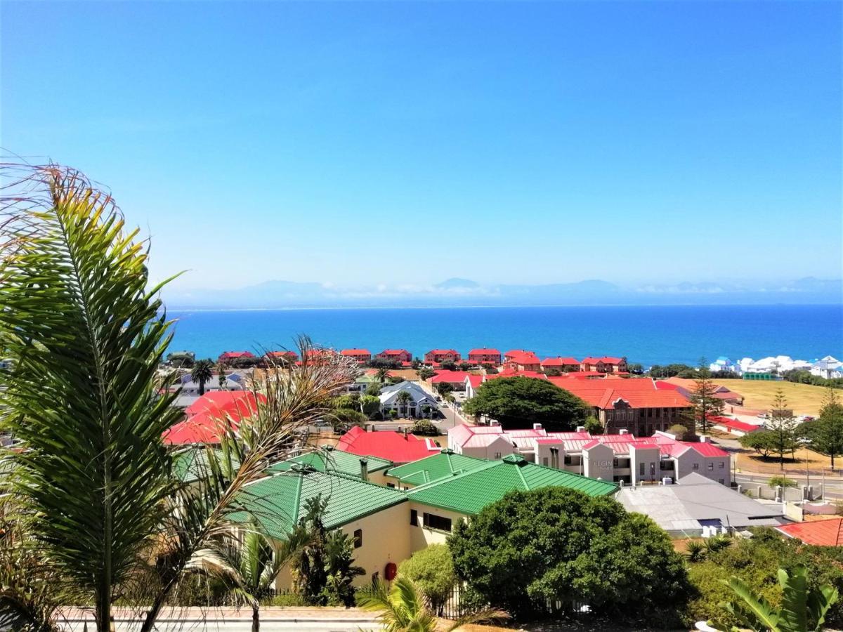 4 On Montagu Accommodation 모젤베이 외부 사진